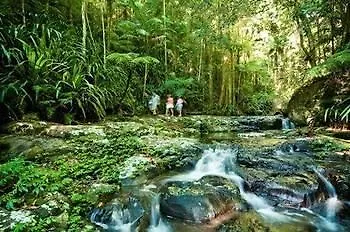 Avlon Gardens Motel 3*, Ballina